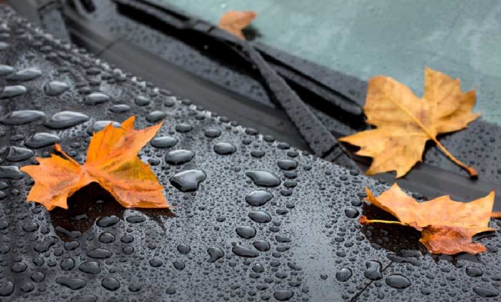 Сильный дождь и туман: синоптики о погоде на западе Казахстана 30 октября